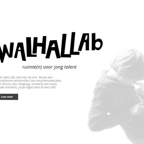Website Walhallab